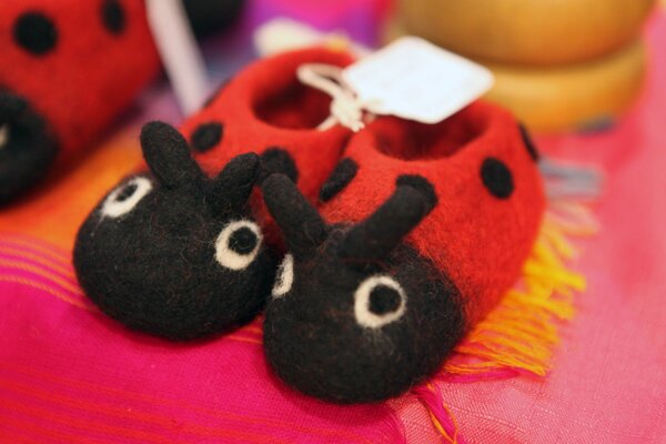 Landybird slippers